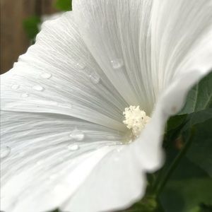 Meet your Posher, Gabriel